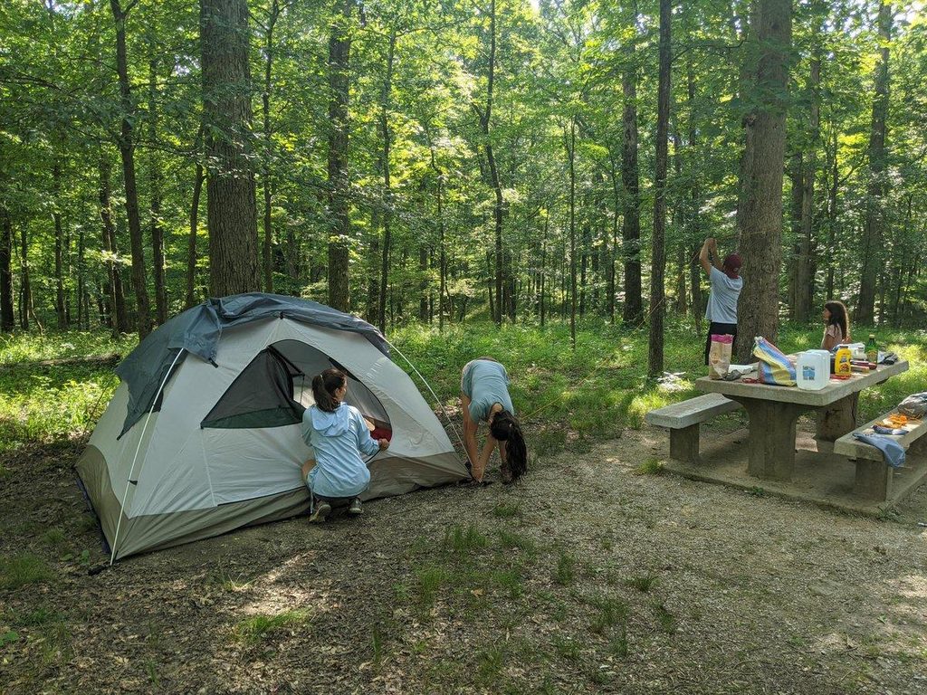 Camping for Beginners: How to Set Up Your Campsite Properly
